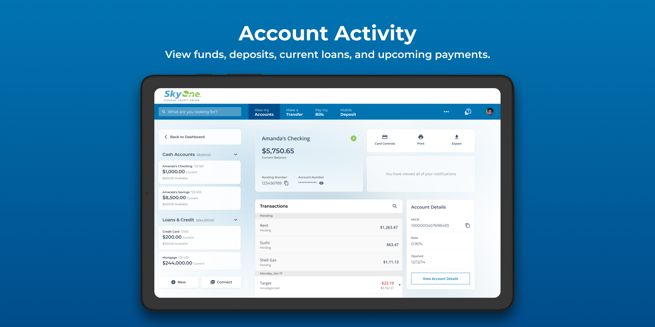 Online Banking Account Activity Screenshot